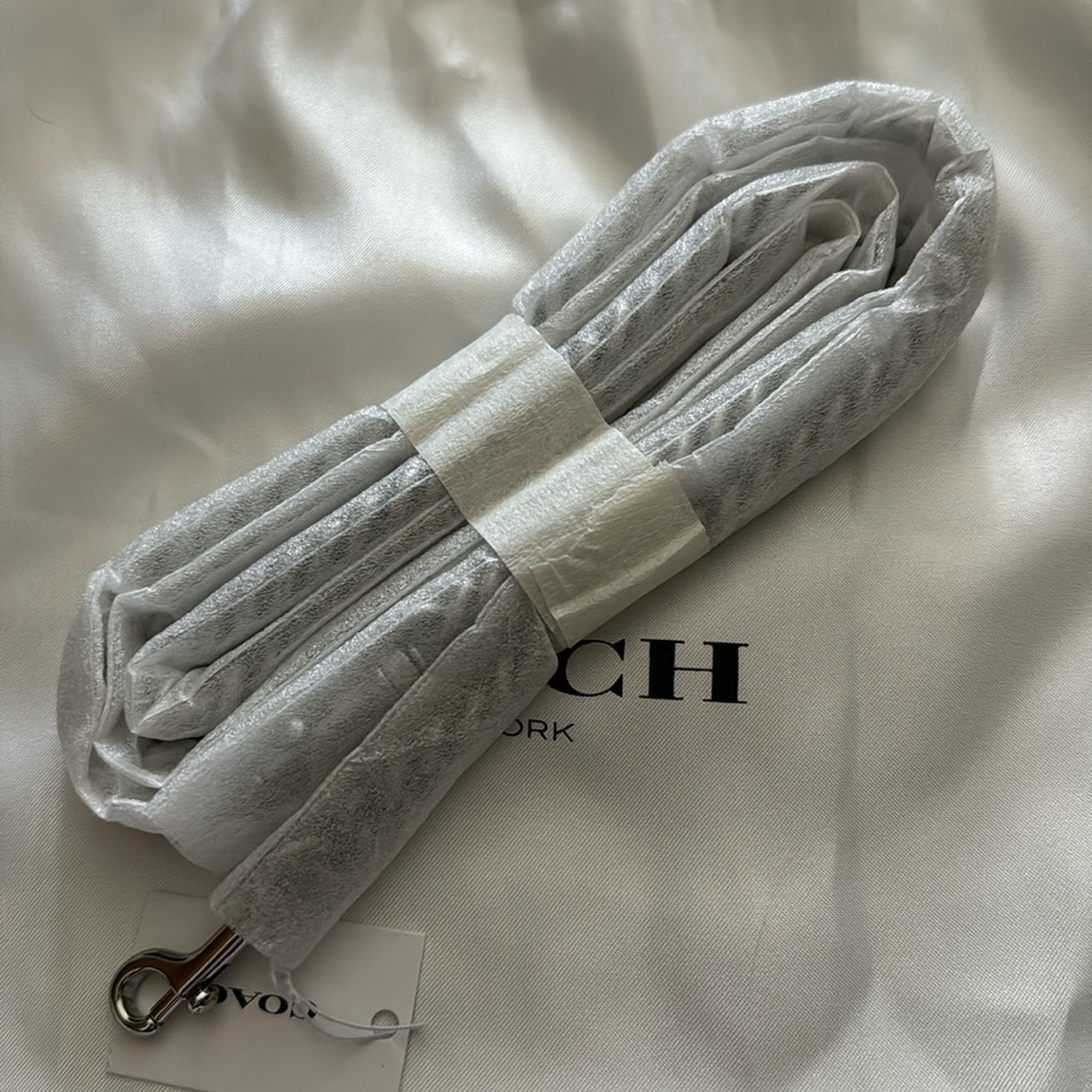 Coach Chain Strap